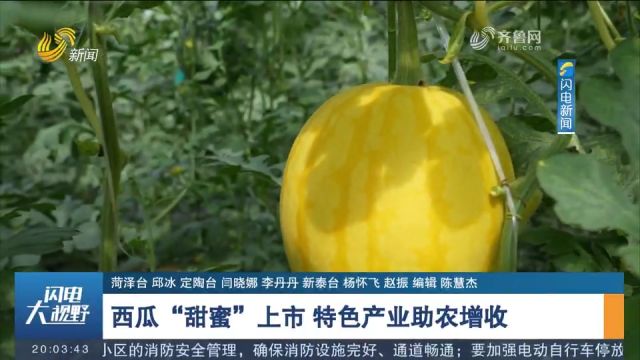 大棚西瓜“甜蜜”上市,价格好销售旺,特色产业助力农户增收致富