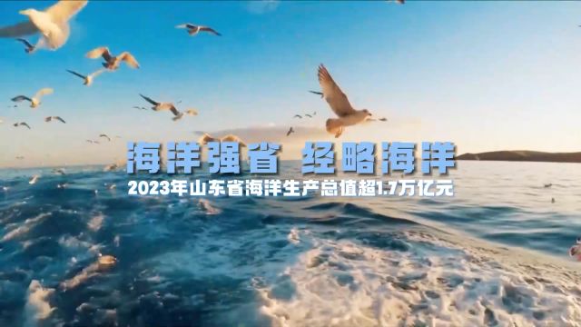 海洋强省 经略海洋丨新突破!2023年山东省海洋生产总值超1.7万亿元