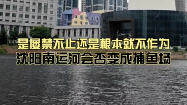 是屡禁不止?还是根本就不作为?沈阳南运河会否变成捕鱼场?