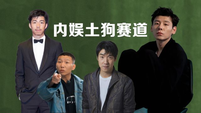 贵圈梗百科|“内娱土狗赛道”是什么梗?又有哪些男演员