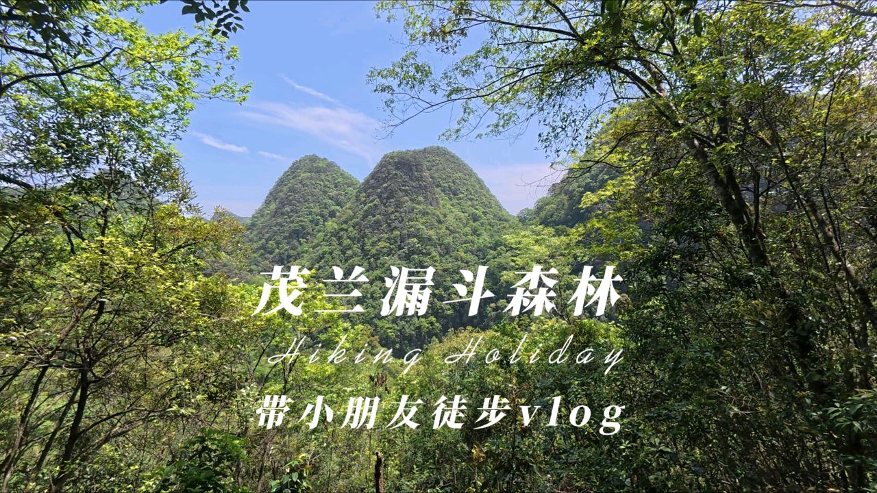 贵州茂兰漏斗森林徒步记录，第一视角赏喀斯特原始森林秘境！_高清1080P在线观看平台_腾讯视频