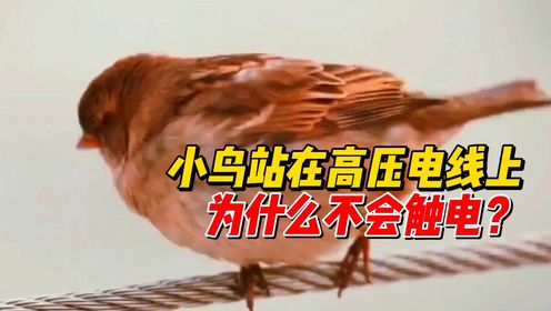 腾讯视频
