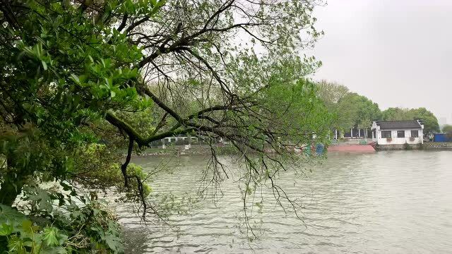 清明假期踏青正当时,打卡4A级景区天井湖公园,孩子玩嗨了