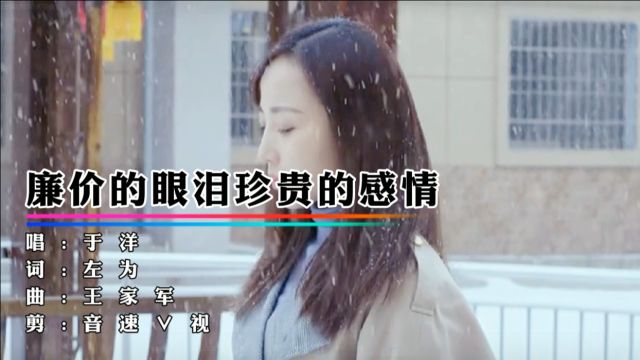 于洋《廉价的眼泪珍贵的感情》热门歌曲,建议收藏