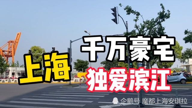 为什么上海有钱人都爱住滨江附近?实地看看你就知道了