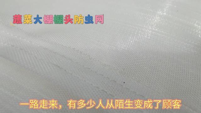 蔬菜大棚棚头防虫网A防虫网大棚风口防护网