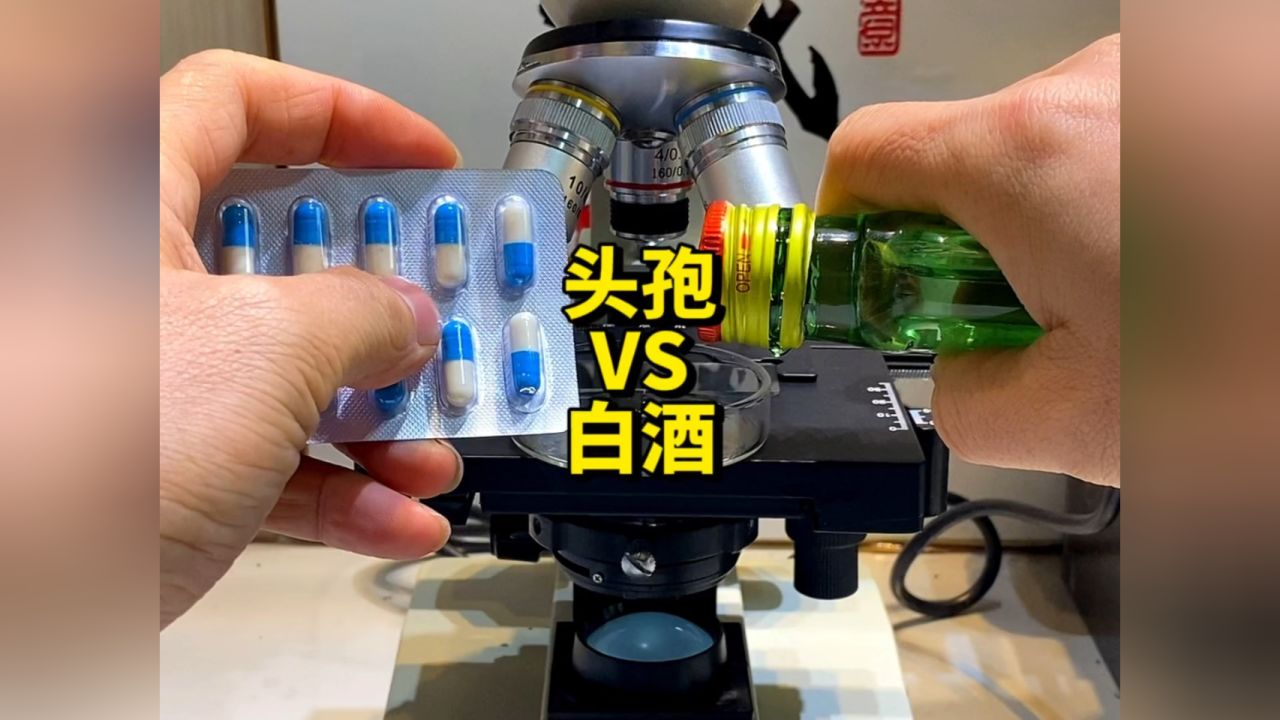 头孢配酒到底有多可怕?快来看看#显微镜下的世界 #头孢 #科普一下