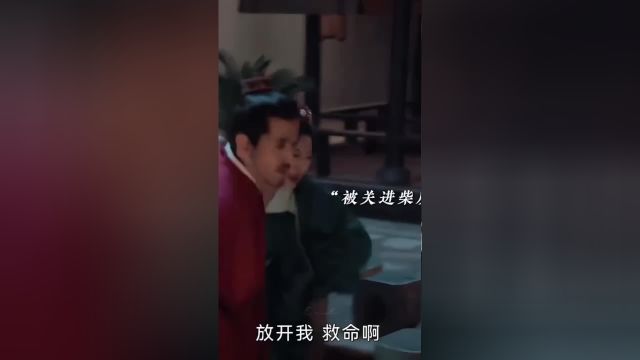 大婚之夜发现被骗婚,大哥因为畏惧强权把小妹骗去当小妾,出嫁前一直在劝,却怎么也听不进去,一心只想去过富贵日子,嫁过去后才发现原来