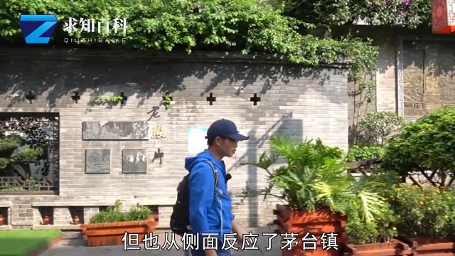 市政府发布“整改”政策,茅台镇600多家小酒厂面临倒闭?企业宣传片 1