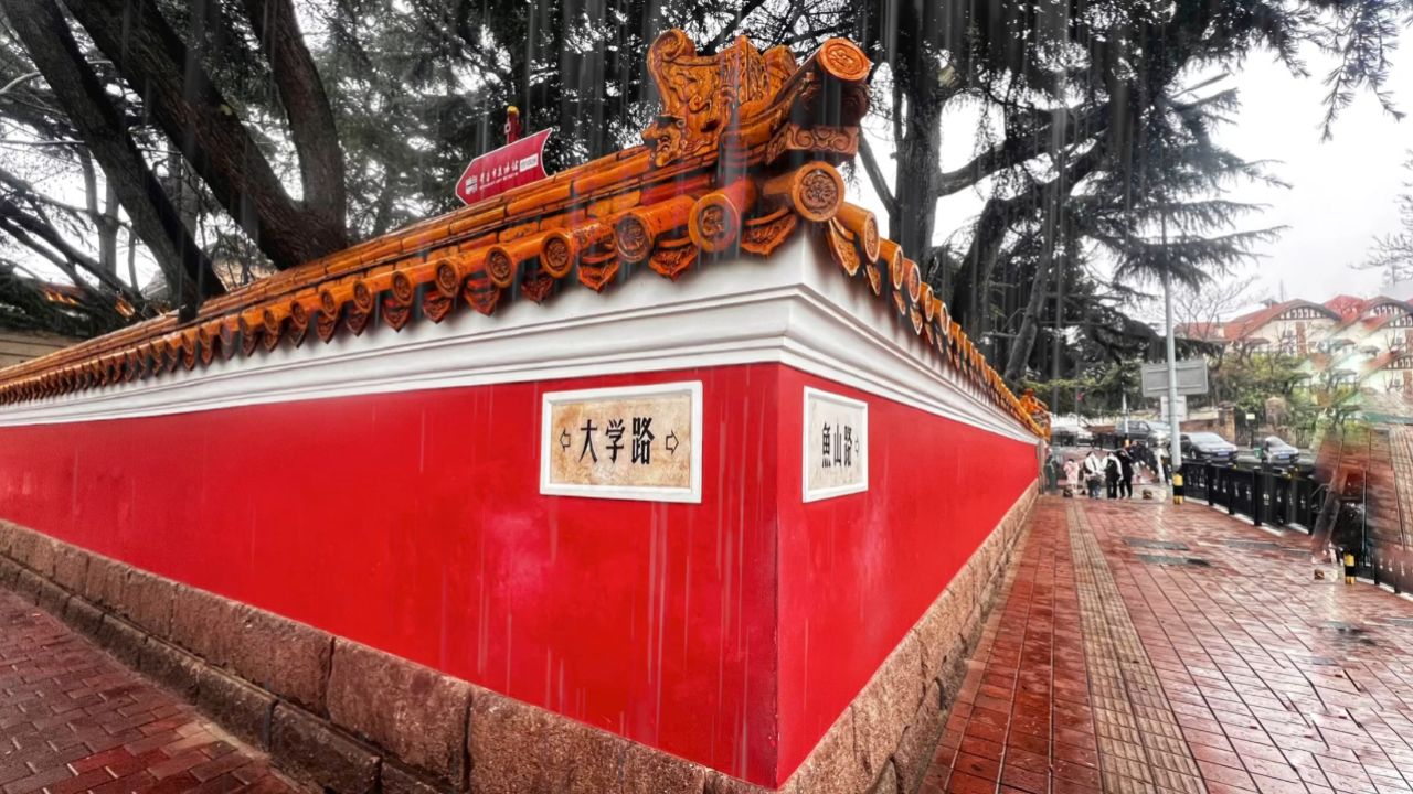 雨后大学路网红墙打卡