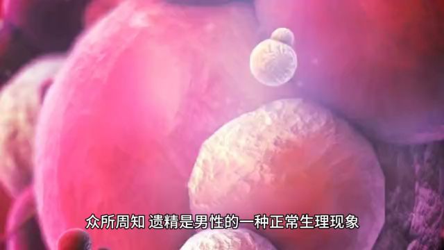 耿红海:频繁遗精的奥秘从科学角度揭示如何调理