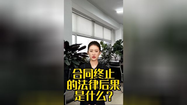 合同终止的法律后果是什么?