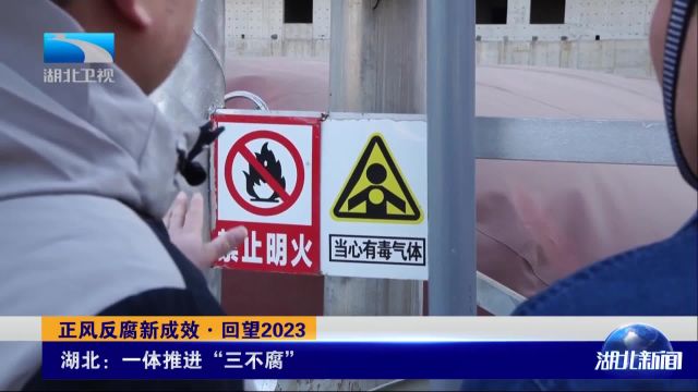 正风反腐新成效ⷥ›ž望2023丨湖北:一体推进“三不腐”