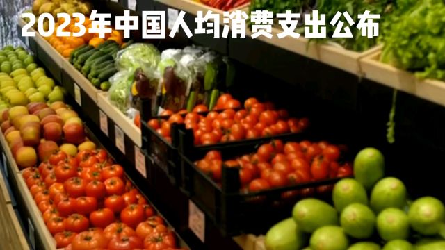 中国当前消费不振的原因:居民生活压力大,消费结构不合理