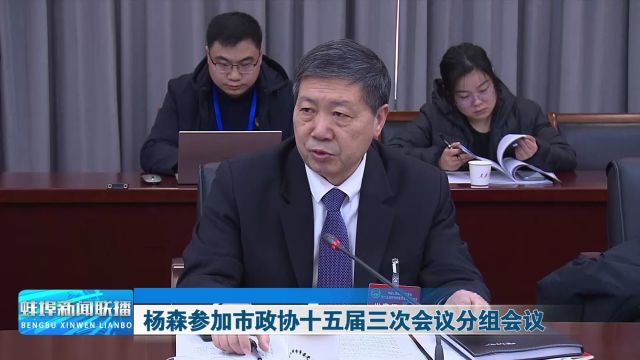 杨森参加市政协十五届三次会议分组会议