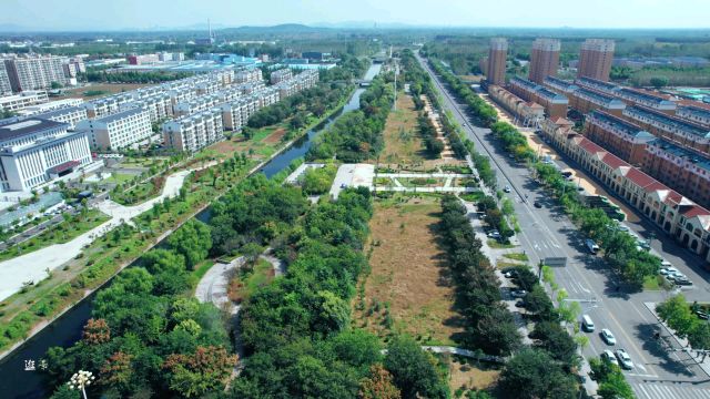 山东微山县运河湿地公园美丽景色