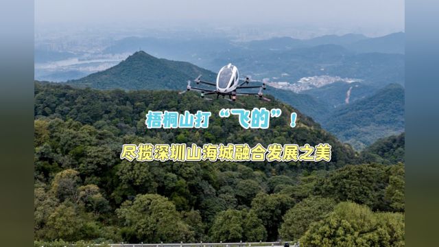 梧桐山打“飞的”!尽揽深圳山海城融合发展之美