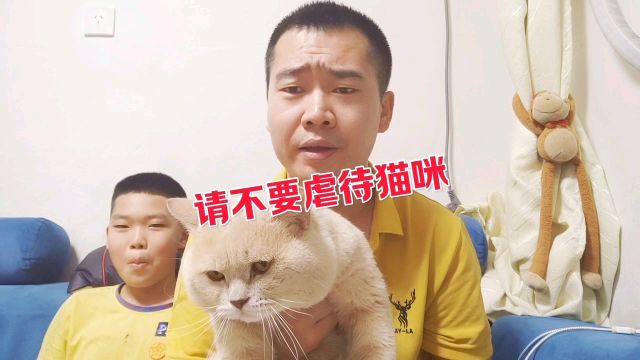 有人把猫咪扔进猴子窝,看到这个消息以后,气的我当场发飙!