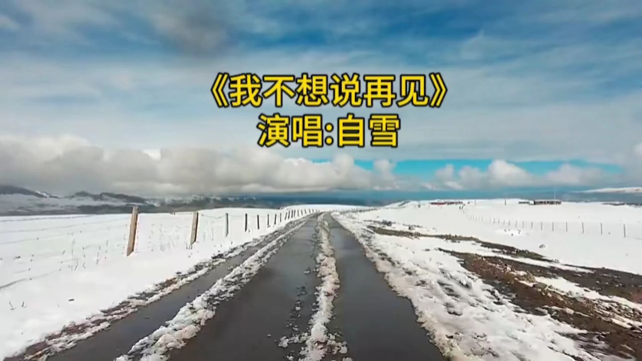《我不想说再见》演唱:自雪