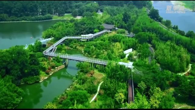 2023年中国林科院转化林草新品种等科技成果525项