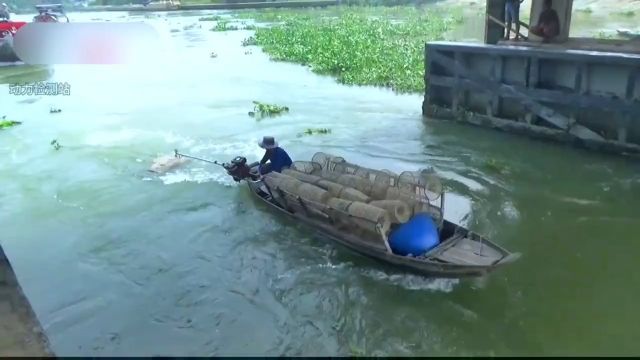 货船烧油当烧水,这么急的水流,硬是在激流中强行过闸货船动力检测站解压