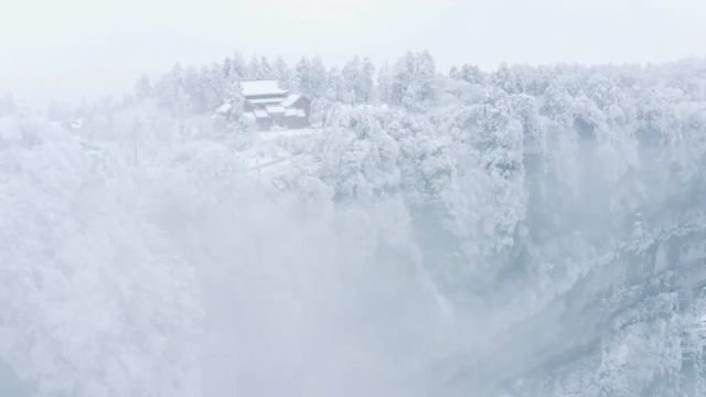 拍了那么多远方,今天拍个家乡.所谓老树迎客,林海奔啼,分明墨乡故里.#秀出家乡美