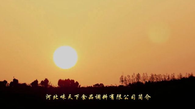 甜绵香酸醇一体,蘸料凉拌样样真——曲周醋品牌样片欣赏