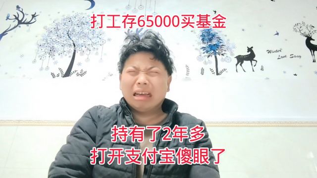 工厂打工存65000买基金,持有2年多,打开支付宝一看傻眼了