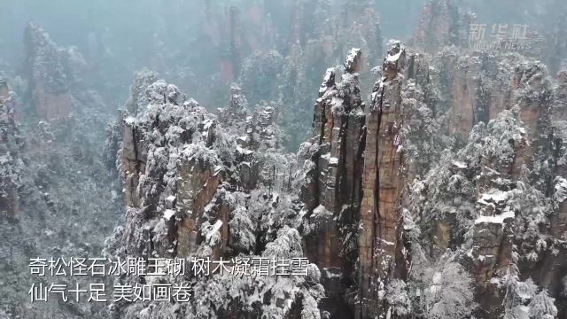 湖南张家界:天子山银装素裹景如画