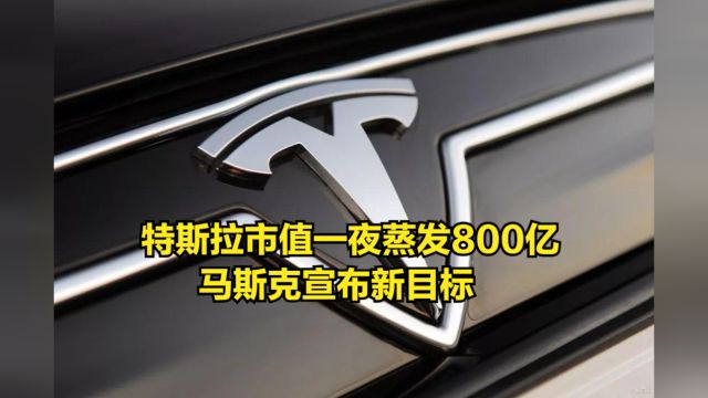 股价大跌12%,特斯拉市值一夜蒸发800亿,马斯克宣布新目标