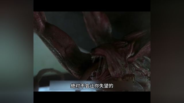 体育mp4