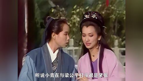 许仙与白素贞给梁王爷治病《新白娘子传奇》