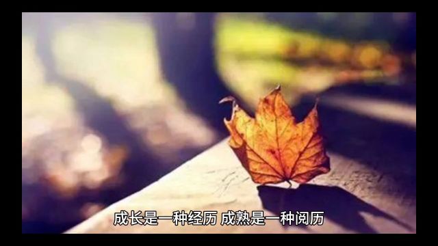 成长是一种经历,成熟是一种阅历