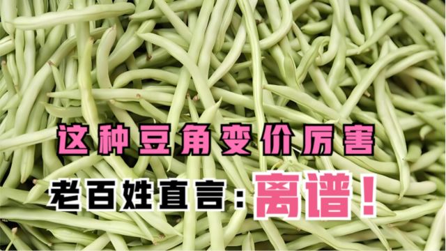 豆角变价厉害,现在多少钱一斤?老百姓直言吃不起呀