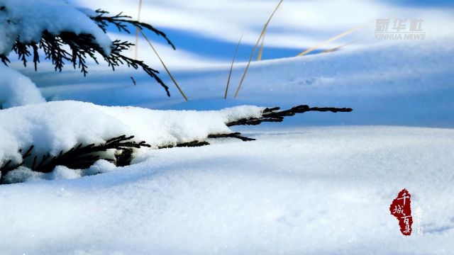 千城百县看中国丨山东巨野:湿地雪韵别样美