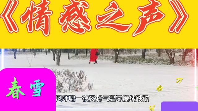 《情感之声》春雪