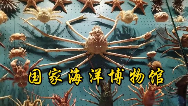 打卡天津国家海洋博物馆,探秘神秘的海洋生物