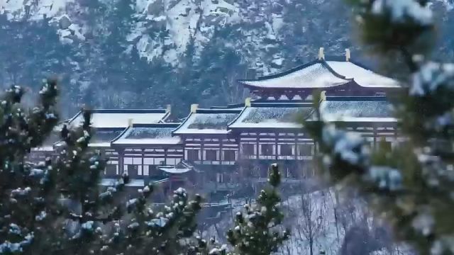 深山藏古寺 落雪听禅音