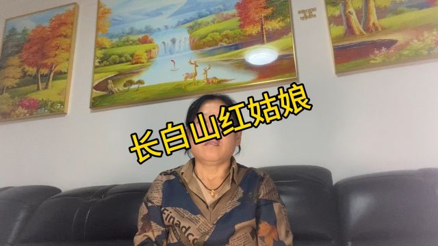 长的像灯笼一样的水果“红姑娘”你吃过这种水果吗