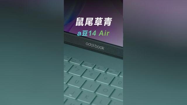 绿色森林:轻薄本的静谧之旅