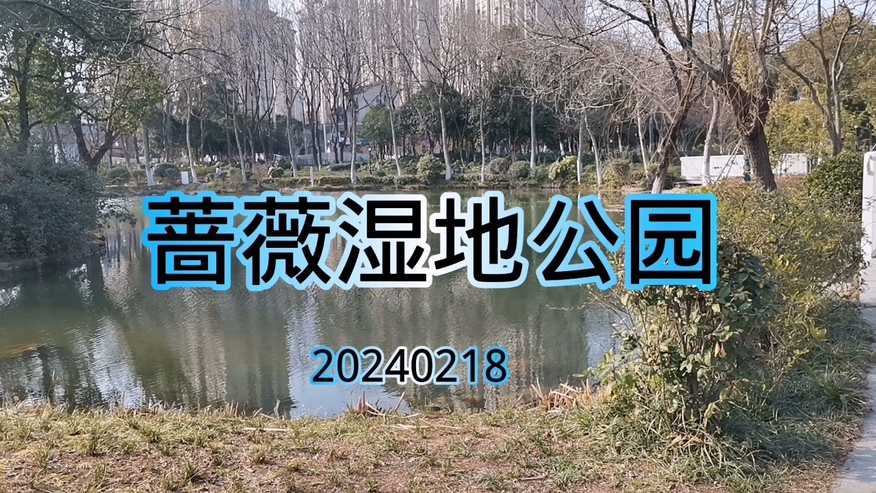 常州湿地公园景点介绍图片