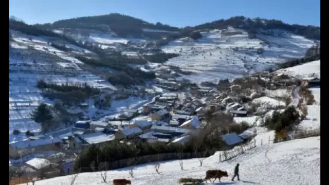 吉林大山里的小村,住的全是山东人,想念老家,却回不来了