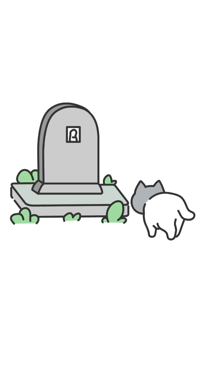 破防了,猫咪每天都去看前主人,虽然前主人已经去世两年了06