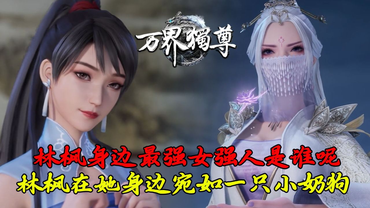 万界独尊:林枫身边最强女强人是谁呢?林枫在她身边宛如一只小奶狗!
