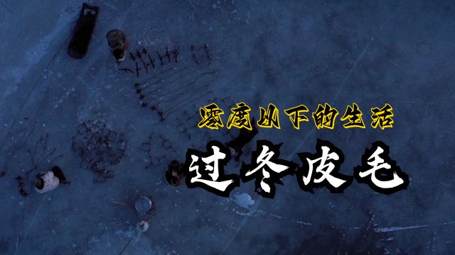 零度以下的生活:黑尔斯通一家来到基瓦里克冰原获取皮毛