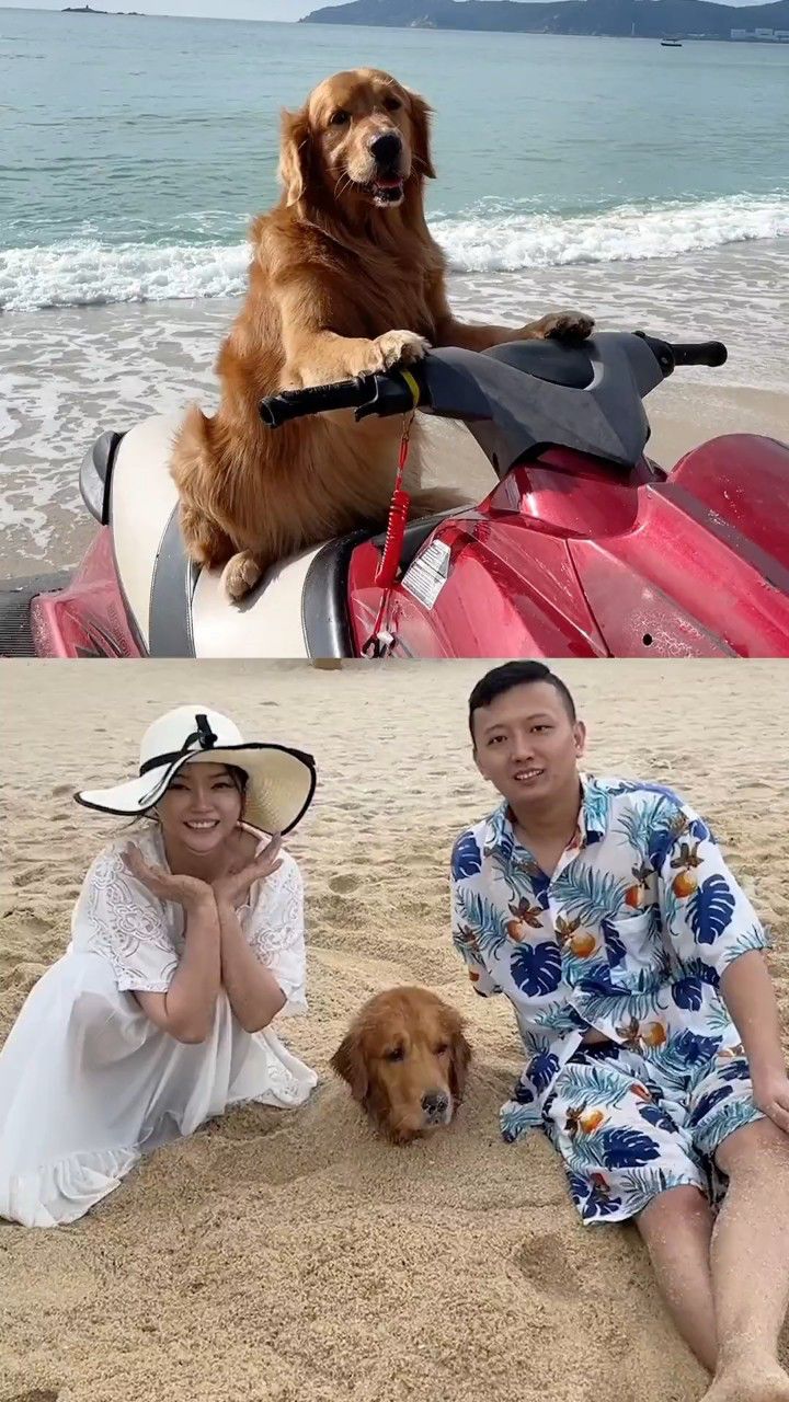 这次带着狗子旅行,轮胎体验了好多的狗生第一次,旅途的最大意义就是和