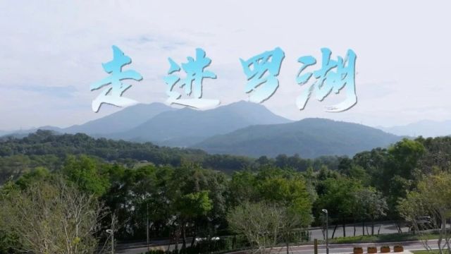 预告|3月5日,罗湖区区长与你相约“上桥”!