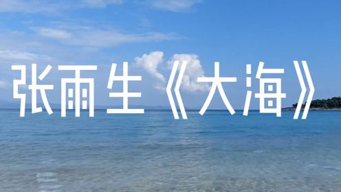 这才是《大海》真正原唱，张雨生的歌声唱到了心坎里，经典永恒！