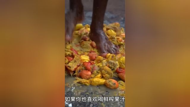 三哥纯手工鲜榨果汁,你绝对值得一试真实户外户外美食印度