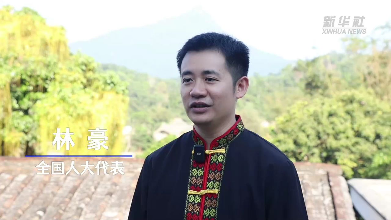 代表委员履职故事|全国人大代表林豪:走好一片雨林大叶茶的"生态产业